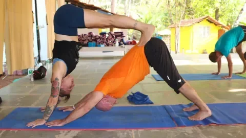 200 Hours Yoga Teacher Training Course by Anand Yoga Village Goa, India17.webp