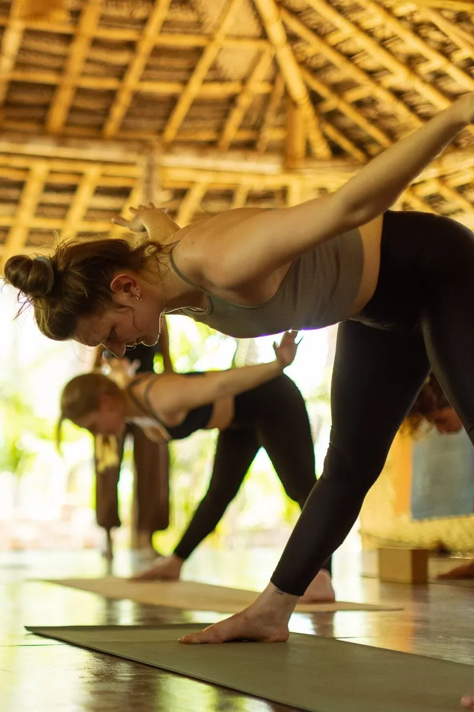 200 Hours Yoga Teacher Training Course by Palm Trees Yoga Resort Goa, India16.webp