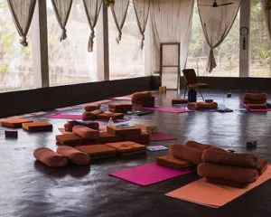 200 Hours Yoga Teacher Training Course by Mahi Yoga Center Goa, India8.webp