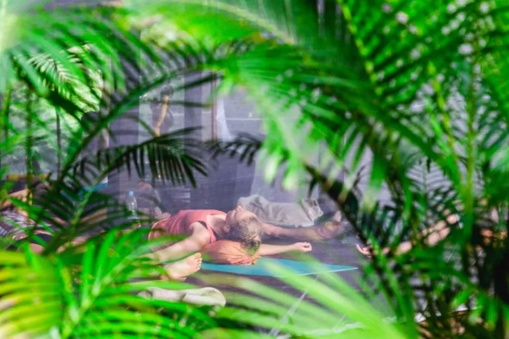 200 Hours Yoga Teacher Training Course  by Ashiyana Yoga Centre Goa, India15.webp