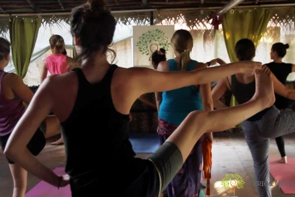 200 Hours Yoga Teacher Training Course by Turiya Yoga Goa, India5.webp