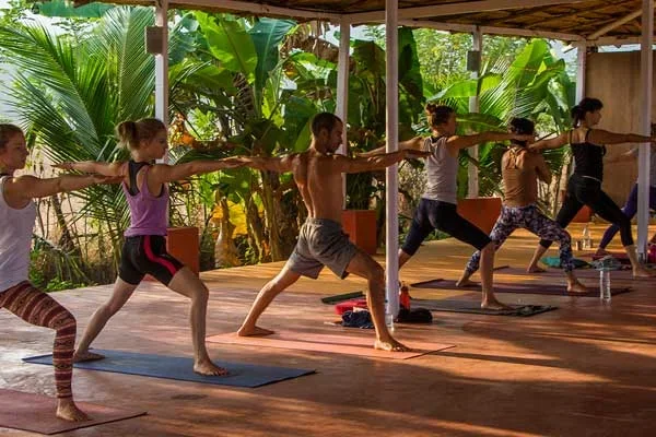 300 Hours Hatha, Ashtanga And Vinyasa Teacher Training Course by Kashish Yoga Goa, India17.webp