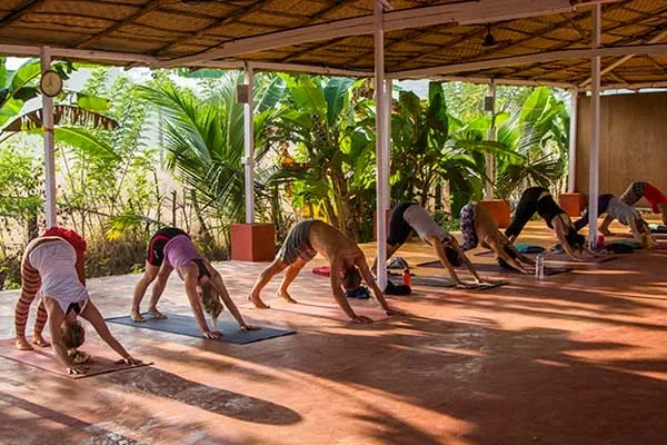 300 Hours Hatha, Ashtanga And Vinyasa Teacher Training Course by Kashish Yoga Goa, India3.webp