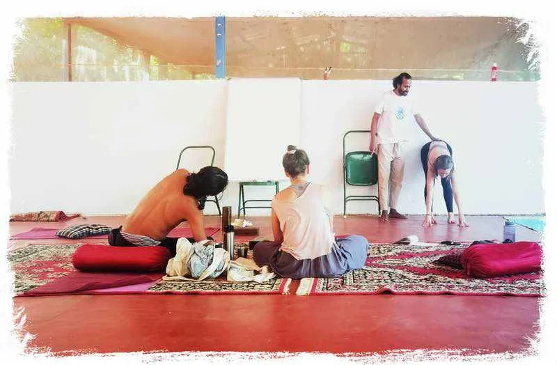 300 Hours Yoga Teacher Training Course by Shree Hari Yoga School Goa, India4.webp