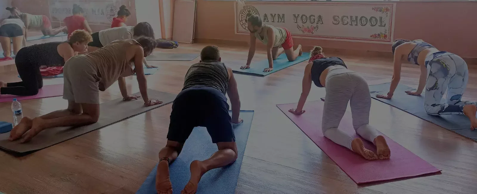 300 Hours Yoga Teacher Training Course  by AYM Goa, India7.webp