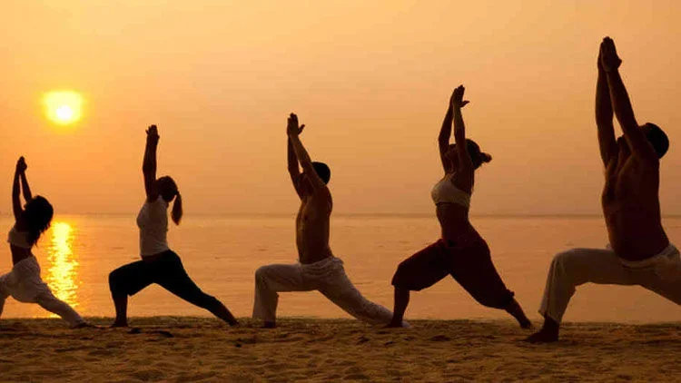 300 Hours Yoga Teacher Training Course  by Yogvit Yogashala Goa, India2.webp