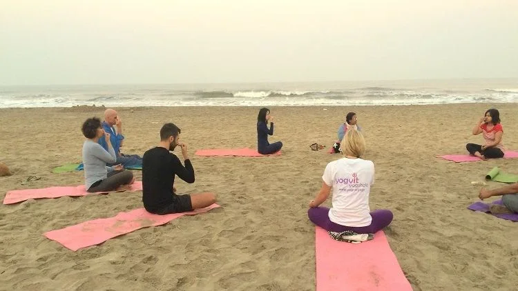 300 Hours Yoga Teacher Training Course  by Yogvit Yogashala Goa, India3.webp
