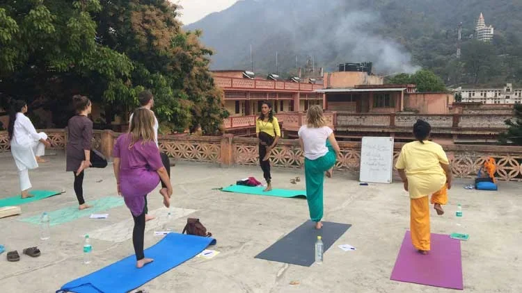 300 Hours Yoga Teacher Training Course  by Yogvit Yogashala Goa, India7.webp