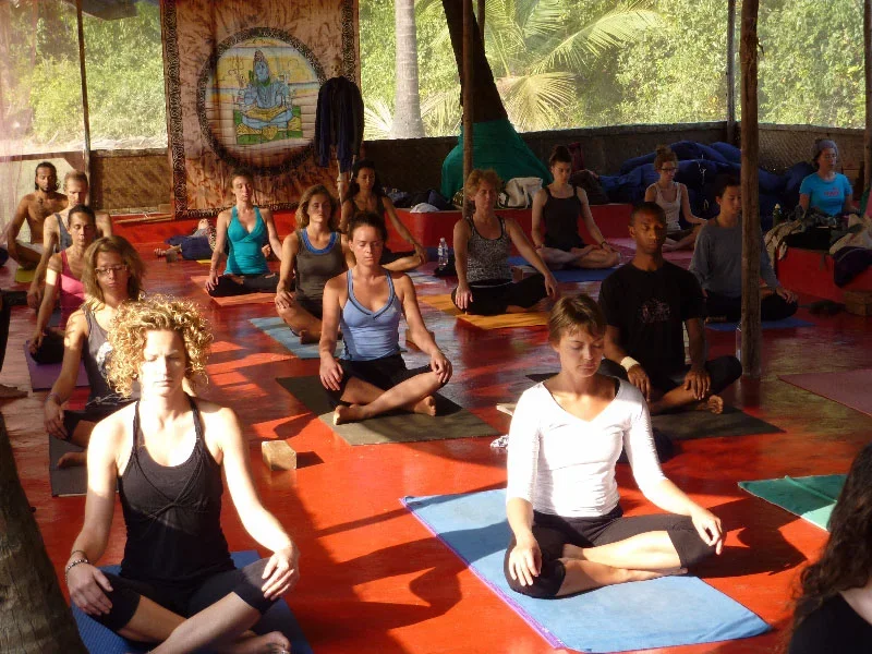 300 Hours Yoga Teacher Training Course  by Tribe International Yoga Teacher Trainings Goa, India5.webp