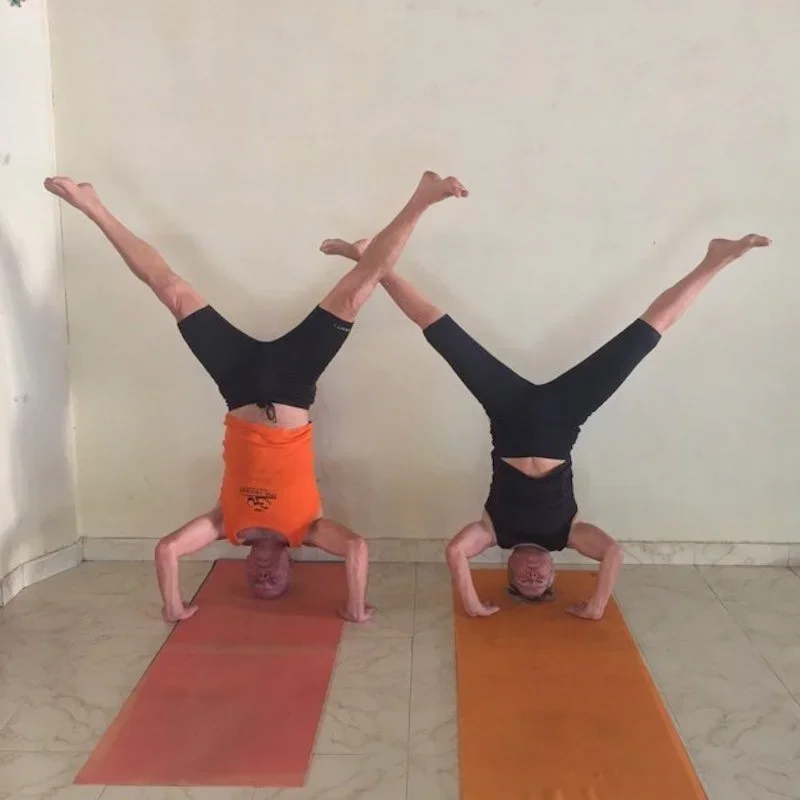 8 Days Ashtanga Cyril Yoga Retreat by Sarvaguna Yoga Dhamma Goa, India7.webp