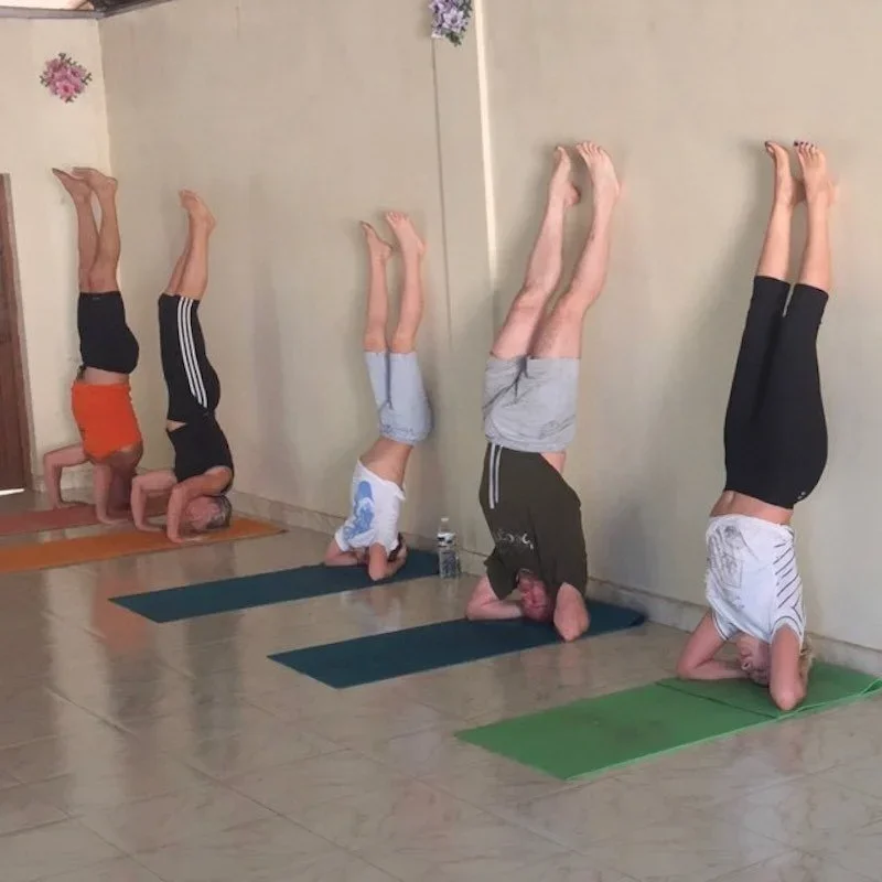 8 Days Ashtanga Cyril Yoga Retreat by Sarvaguna Yoga Dhamma Goa, India8.webp