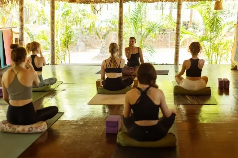 8 Day Yoga Retreat by Palm Trees Yoga Resort Goa, India11.webp