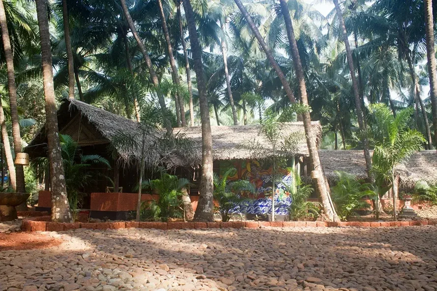 8 Day Yoga Retreat by Palm Trees Yoga Resort Goa, India5.webp
