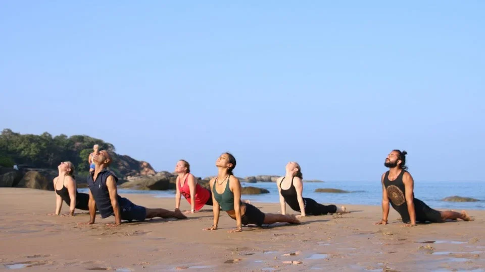 7 Days Jungle & Beach Yoga Retreat by Om Yoga Shala Agonda Goa, India12.webp