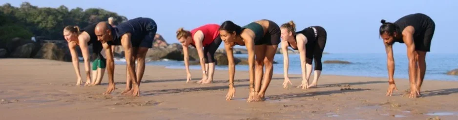 7 Days Jungle & Beach Yoga Retreat by Om Yoga Shala Agonda Goa, India13.webp