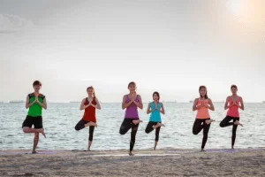 6 Days Yoga & Meditation Retreat by Vimoksha Yoga Goa, India13.webp