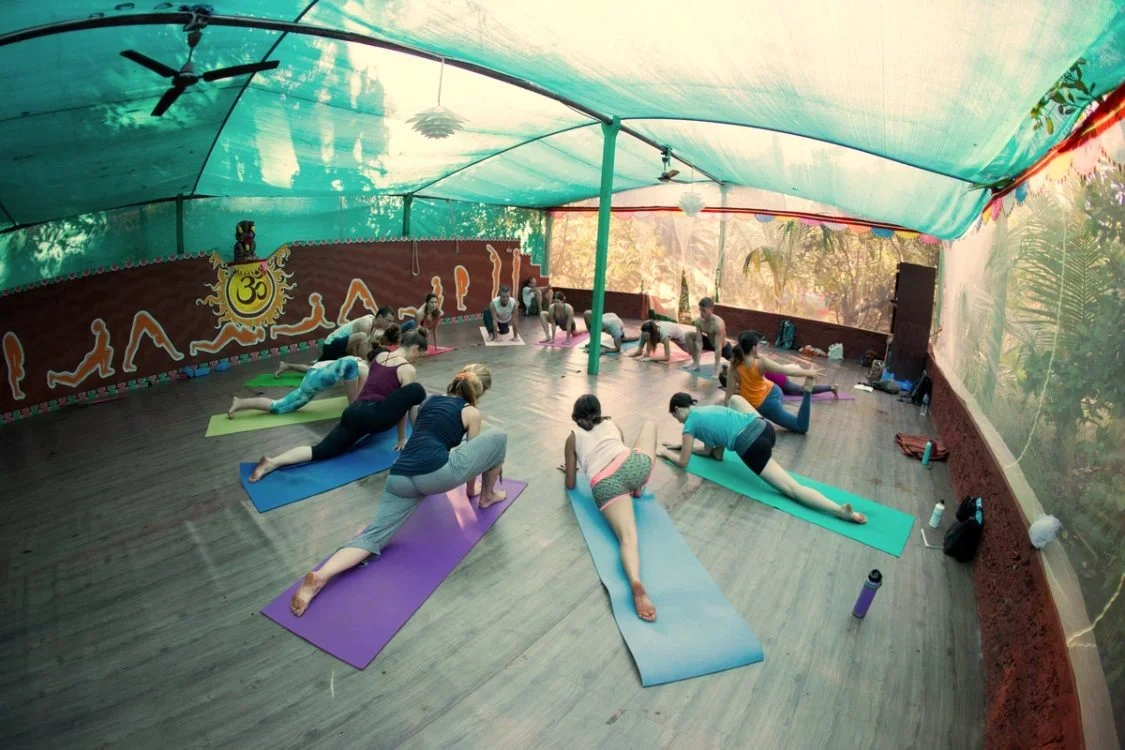 14 Days Ayurveda Yoga Retreat by Vedic Valley Goa, India12.webp