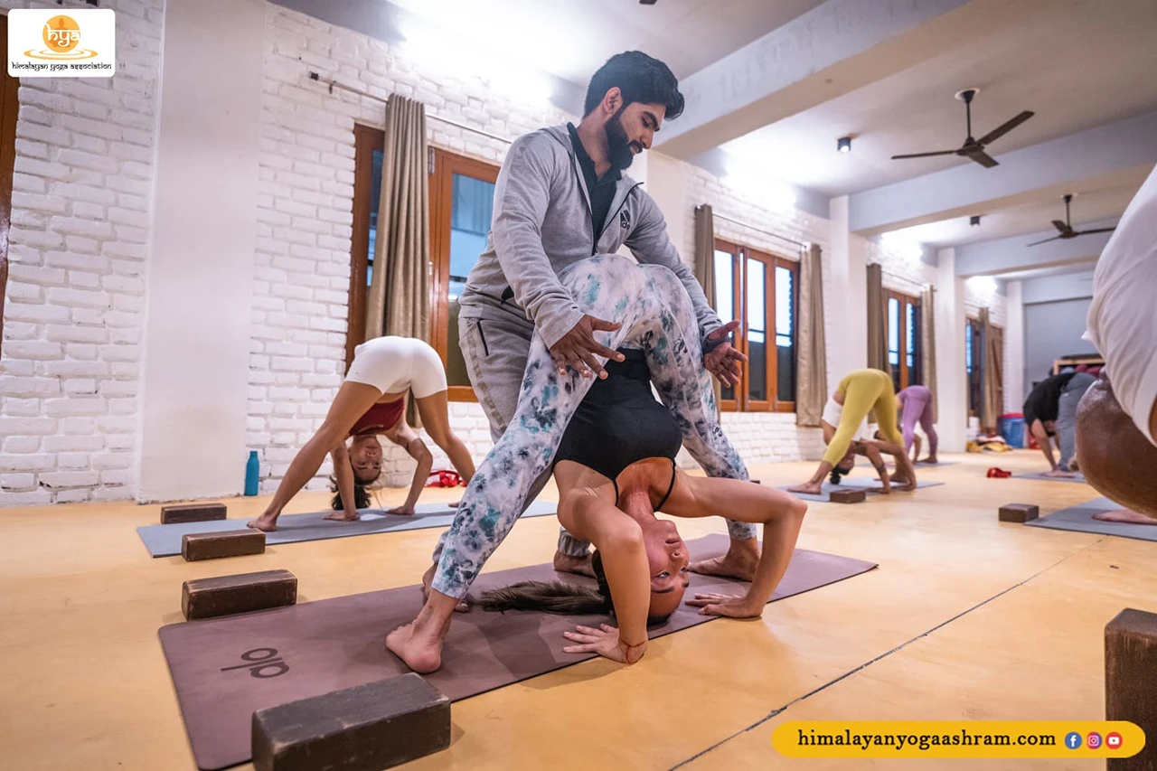 300 Hrs Hatha Vinyasa Flow Ashtanga based Yoga Teacher Training Course in Rishikesh By Himalayan Yoga Association8.webp