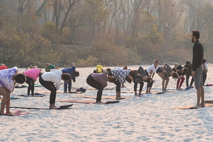 300 Hrs Yoga Teacher Training Course in Rishikesh By Vinyasa Yoga Ashram9.webp