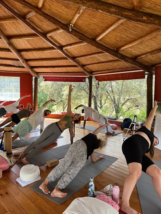 300 Hrs Yoga Teacher Training Course in Rishikesh By D'vine Yoga4.webp