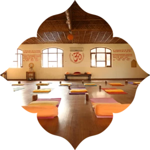 300 Hrs Yoga Teacher Training Course in Rishikesh By Anand Prakash Yoga Ashram3.webp
