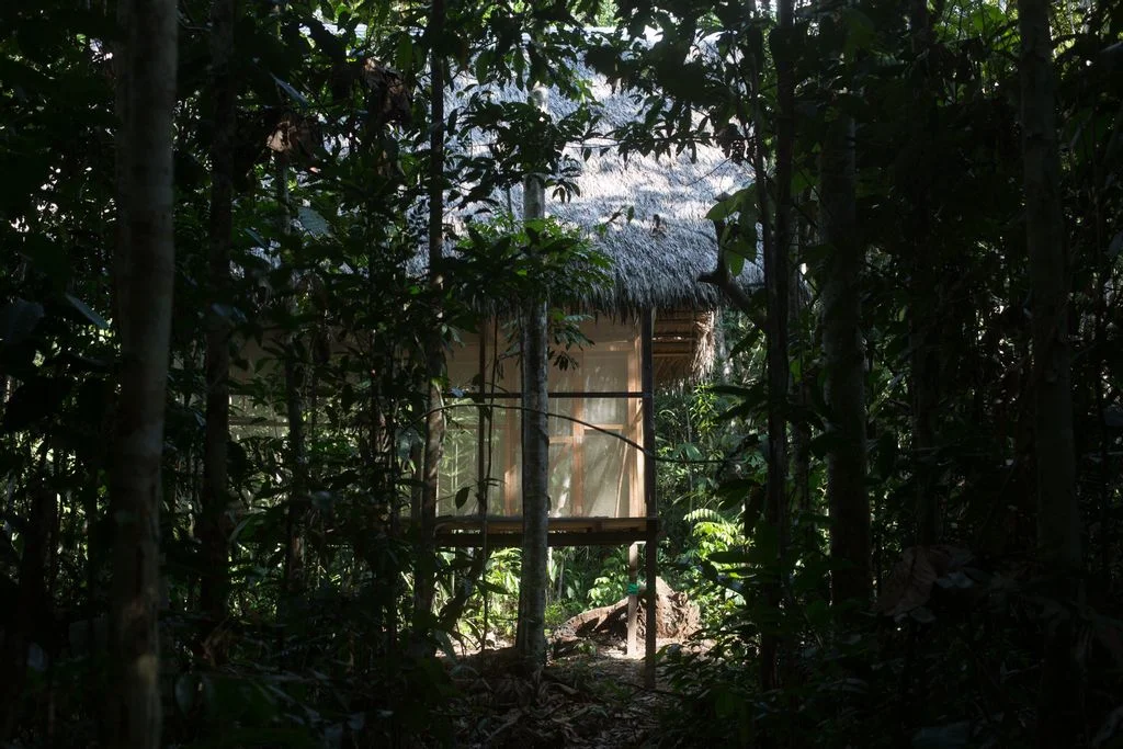10 day ayahuasca retreat & master plants dieta in peru101705405678.webp
