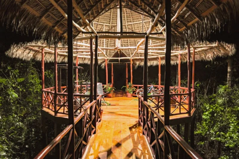 8-days traditional healing ayahuasca retreat in peru231705403806.webp