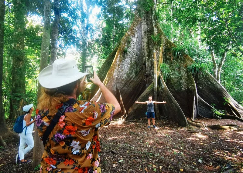 8-days traditional healing ayahuasca retreat in peru321705403807.webp