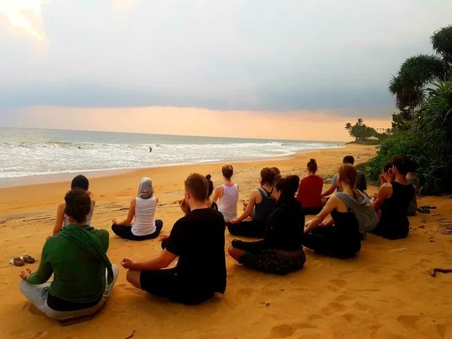 10 Day Ashtanga Yoga & Elephant Safari Retreat in Sri Lanka4.webp
