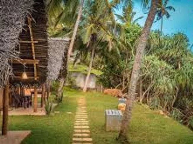 10 Day Beginners Yoga, Surfing, and Diving Camp in Arugam Bay and Trincomalee, Sri Lanka13.webp