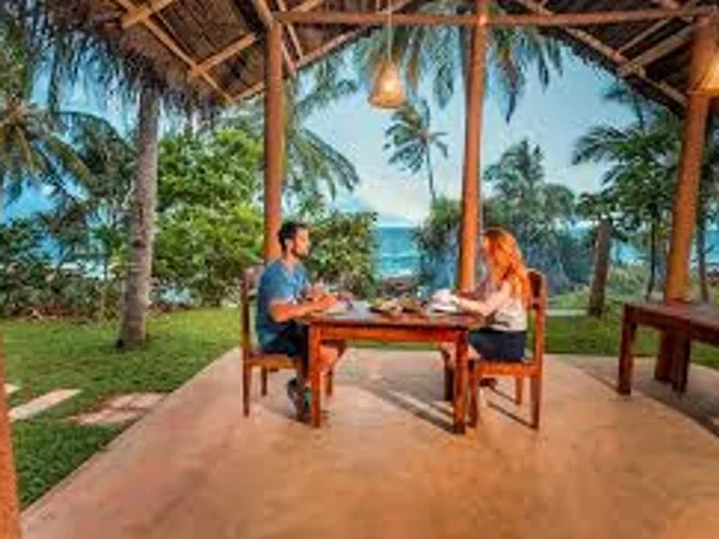 10 Day Beginners Yoga, Surfing, and Diving Camp in Arugam Bay and Trincomalee, Sri Lanka15.webp
