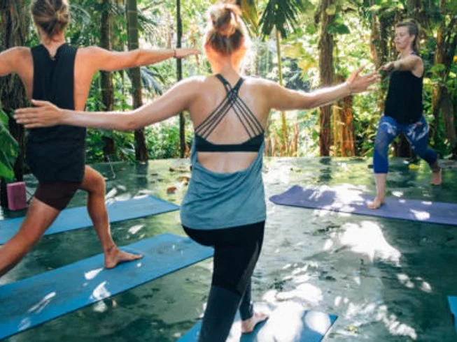 11 Day Private Group Trip Yoga and Surf Camp For 6 People in Mirissa17.webp