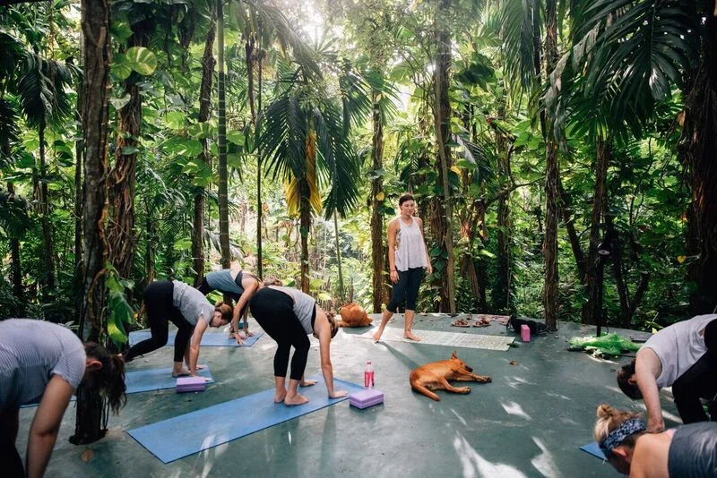 11 Day Private Group Trip Yoga and Surf Camp For 6 People in Mirissa22.webp