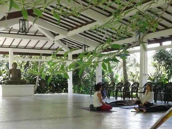 14 Day Ayurveda Healing Retreat in Sri Lanka21.webp