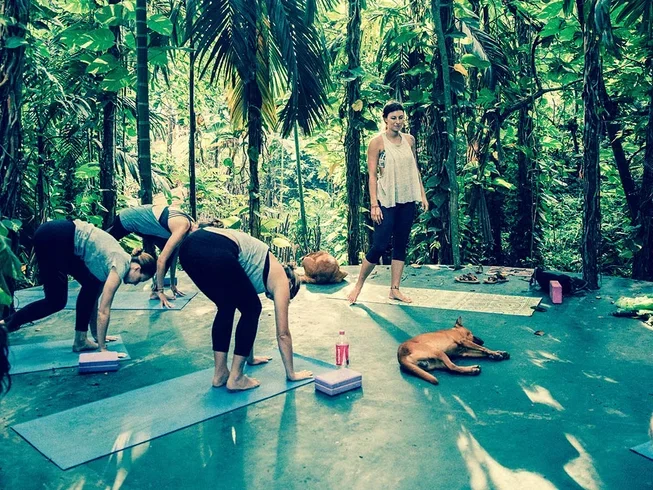 15 Day Balance Package with Yoga and Surf Lesson in Mirissa, Southern Province1.webp