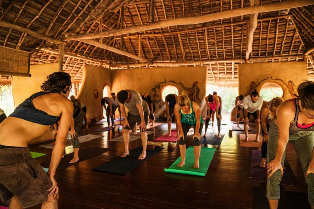 15 Day Conscious Flow Yoga Retreat with James De Maria in Ulpotha, Dambulla10.webp