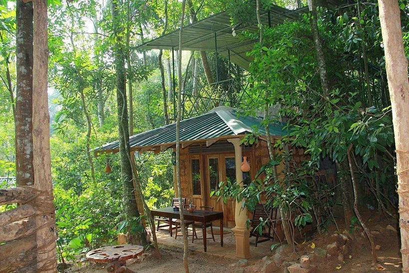 3 Day Forest Yoga Retreat in Magical Sri Lanka2.webp
