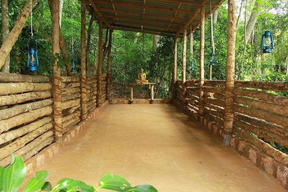 3 Day Forest Yoga Retreat in Magical Sri Lanka6.webp
