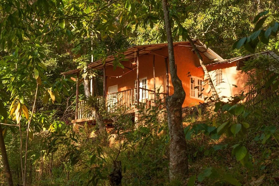 4 Day Yoga, Trekking, Cooking, and Reforestation Retreat in Kandy, Central Province24.webp