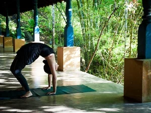 5 Day Ayurveda Massages, Meditation, and Yoga Retreat in Kandy, Central Province1.webp