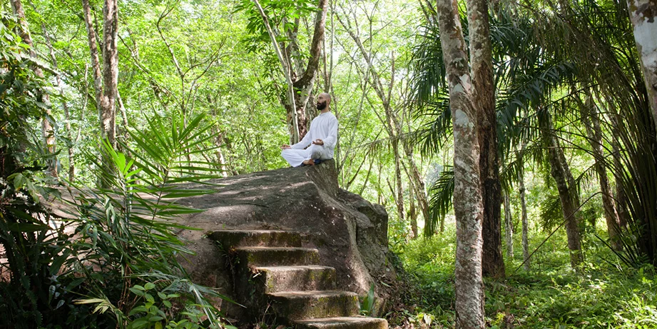 5 Day Connect to Nature Yoga & Meditation Retreat, Sri Lanka9.webp