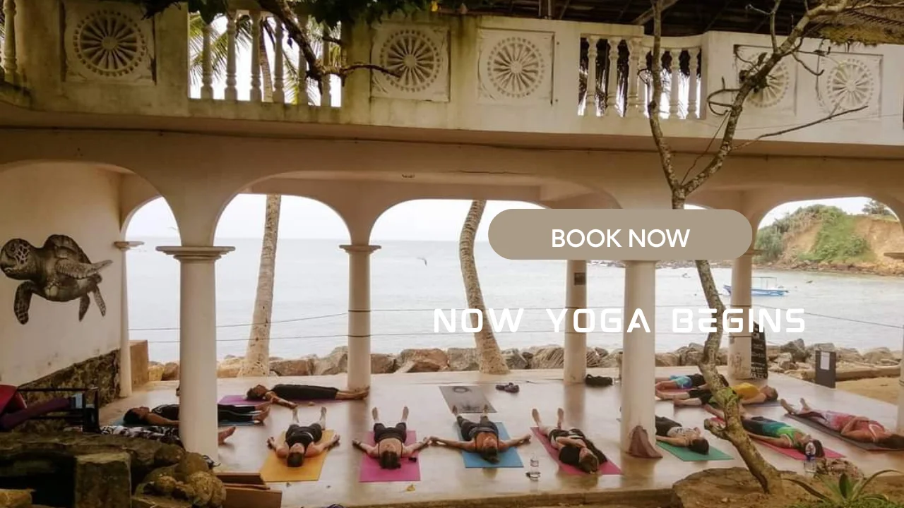 5 Day Connect with Yourself, Beachfront Yoga Retreat in Sri Lanka14.webp