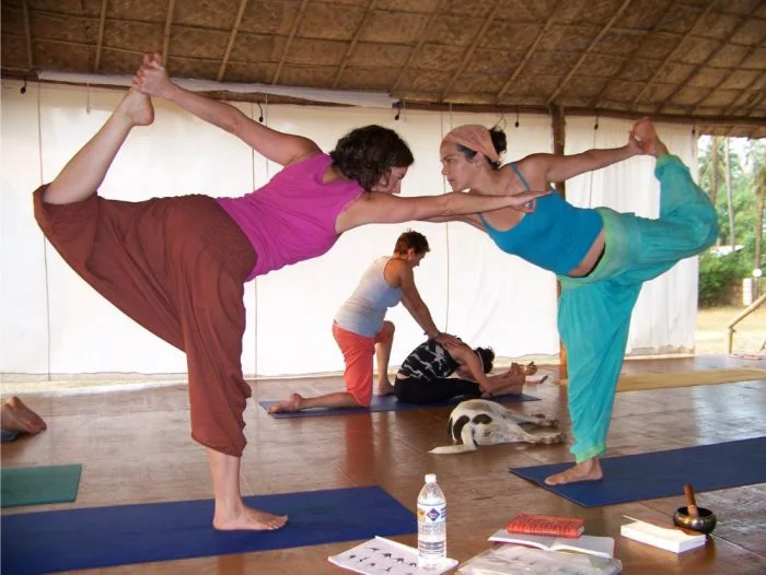 7 Day 50-Hour Ashtanga Yoga Teacher Training in Tangalle, Southern Province6.webp