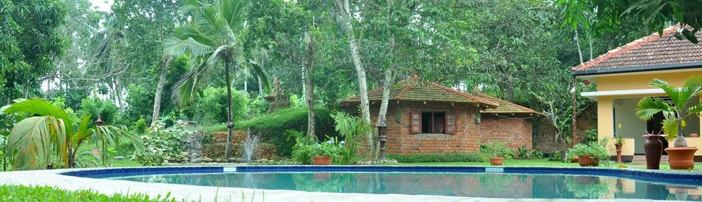 8 Day Ayurveda Detox, and Yoga Retreat in Dickwella, Southern Province20.webp