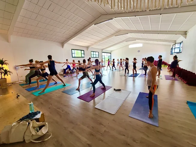 21 Day 200 Hours Vinyasa, Hatha, Ashtanga & Yin Yoga Teacher Training From Indian School In Mallorca, Spain17.webp