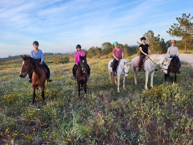 6 day wellness retreat with yoga, horse therapy, meditation, and hiking in aljezur, faro, portugal181713443055.webp
