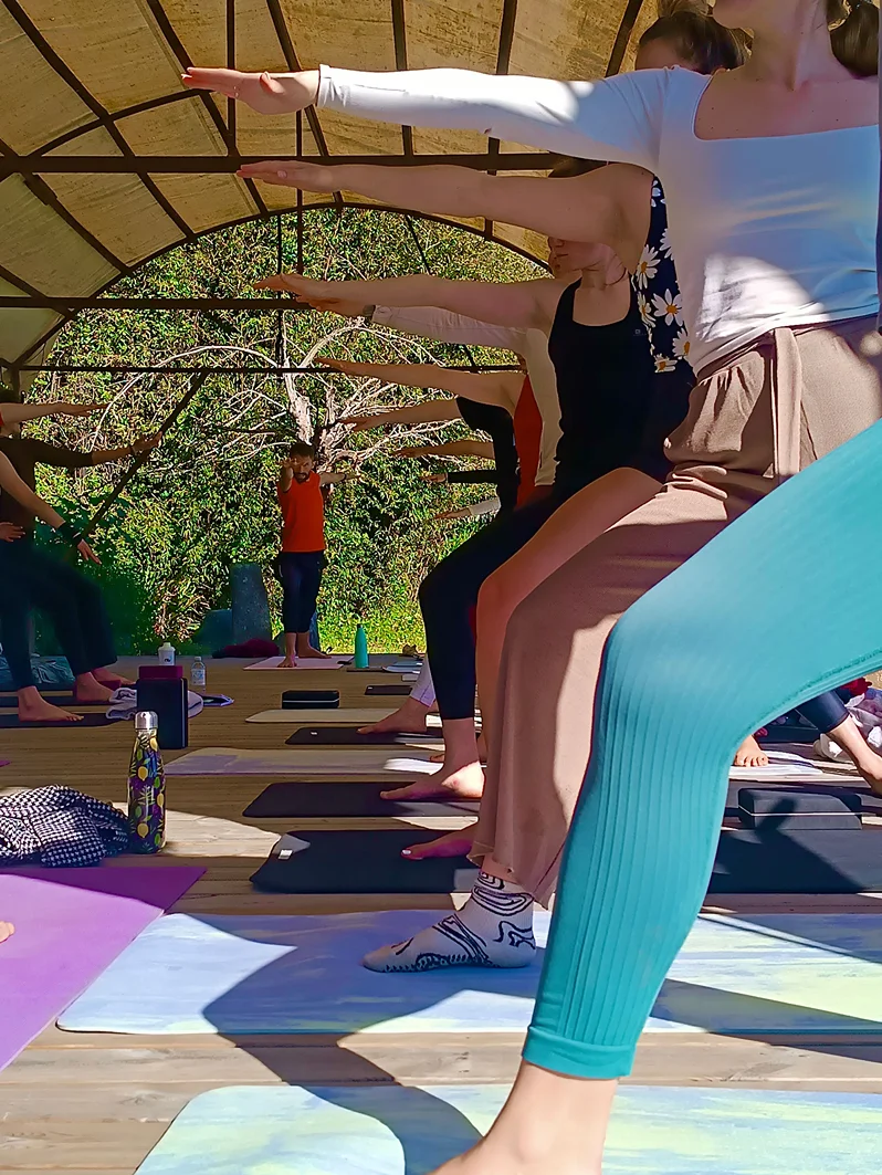 18 day vinyasa yoga teacher training certification course in natural park in terra sangha, portugal381714118293.webp