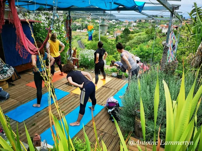 6 day yoga, mindful hiking and sailing vacation in madeira island, portugal101714120493.webp