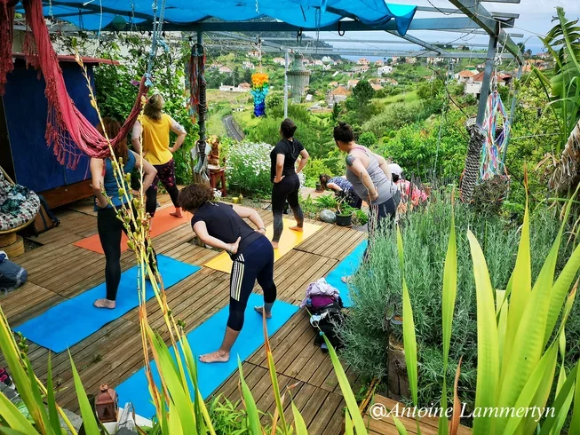 6 day yoga, mindful hiking and sailing vacation in madeira island, portugal11714120492.webp