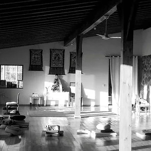 8 day silent zen meditation and yin yoga retreat in monchique, faro, portugal201714210677.webp